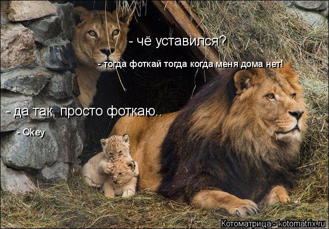 Котоматрица: - да так, просто фоткаю.. - чё уставился? - тогда фоткай тогда когда меня дома нет! - Okey