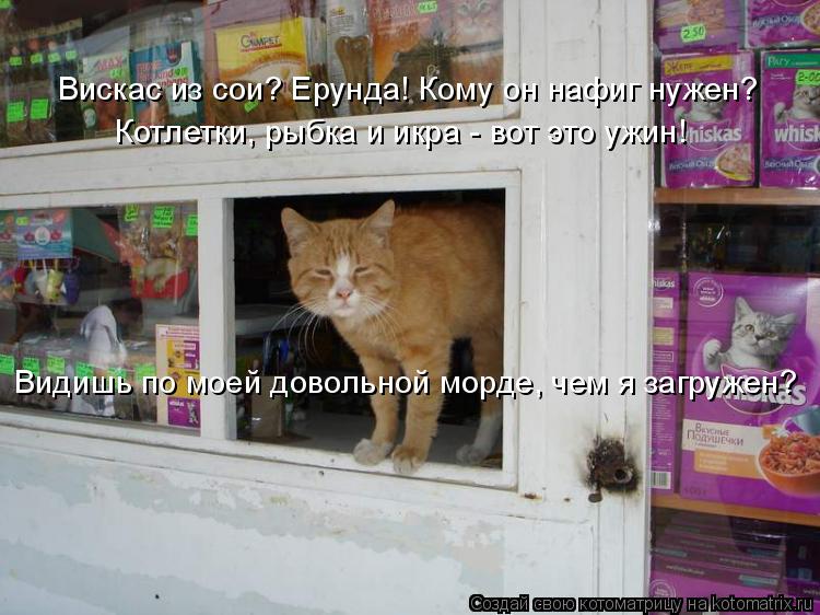 Котоматрица: Вискас из сои? Ерунда! Кому он нафиг нужен? Котлетки, рыбка и икра - вот это ужин! Видишь по моей довольной морде, чем я загружен?