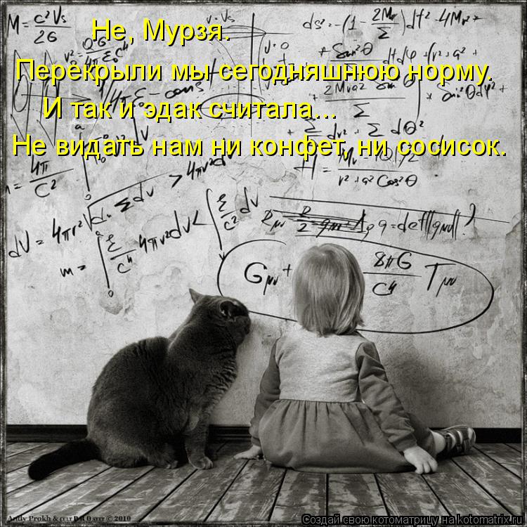 Котоматрица: Не, Мурзя.  И так и эдак считала... Перекрыли мы сегодняшнюю норму.  Не видать нам ни конфет, ни сосисок.