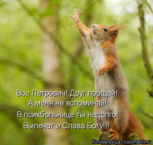 Котоматрица: В психбольнице ты надолго! А меня не вспоминай! Все Петрович! Друг прощай! Вылечат и Слава Богу!!!