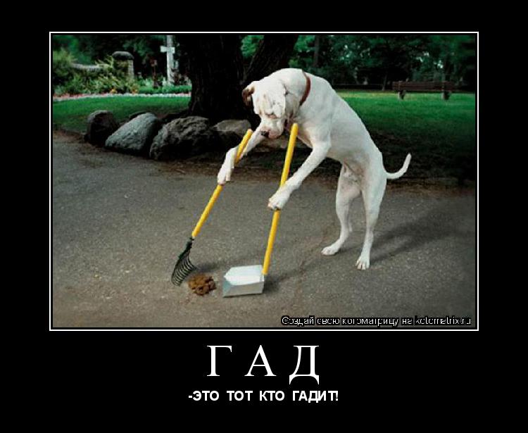 Котоматрица: ГАД -ЭТО  ТОТ  КТО  ГАДИТ!