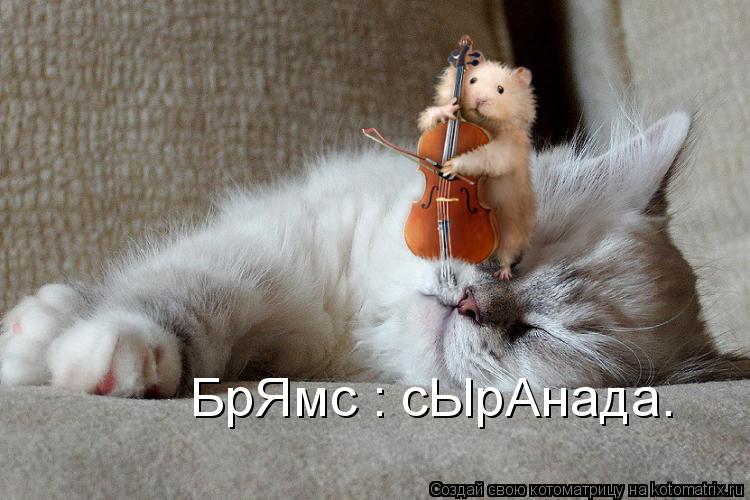 Котоматрица: БрЯмс : сЫрАнада.