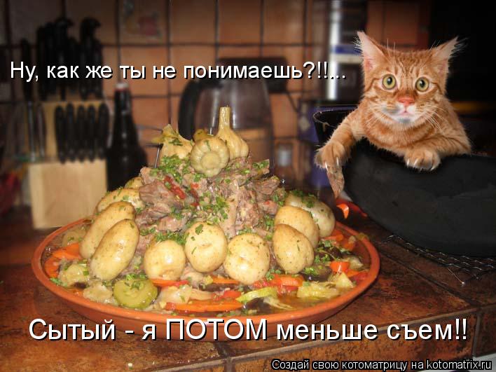 Котоматрица: Ну, как же ты не понимаешь?!!... Сытый - я ПОТОМ меньше съем!!