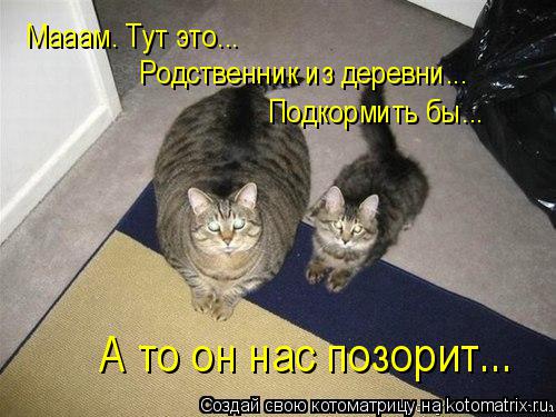 Котоматрица: А то он нас позорит... Мааам. Тут это...  Родственник из деревни... Подкормить бы...