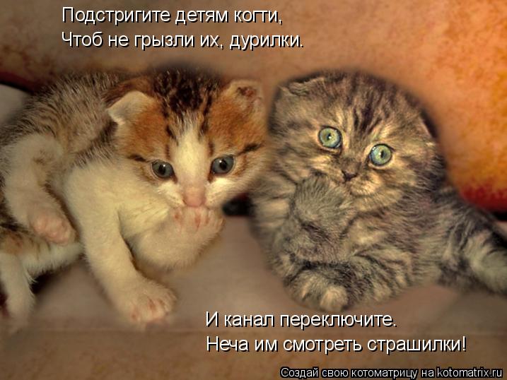 Котоматрица: Подстригите детям когти, Чтоб не грызли их, дурилки. И канал переключите. Неча им смотреть страшилки!