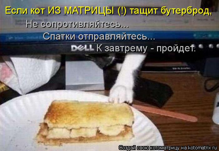 Котоматрица: Если кот ИЗ МАТРИЦЫ (!) тащит бутерброд, Не сопротивляйтесь... Спатки отправляйтесь... К завтрему - пройдет.