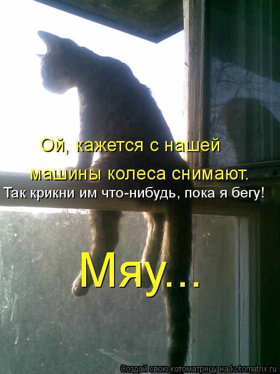 Ой, кажется с нашей машины колеса снимают. Мяу... Так крикни им что-нибудь, пока я бегу!... Котоматрица: Ой, кажется с нашей машины колеса снимают. Мяу... Так крикни им что-нибудь, пока я бегу!
