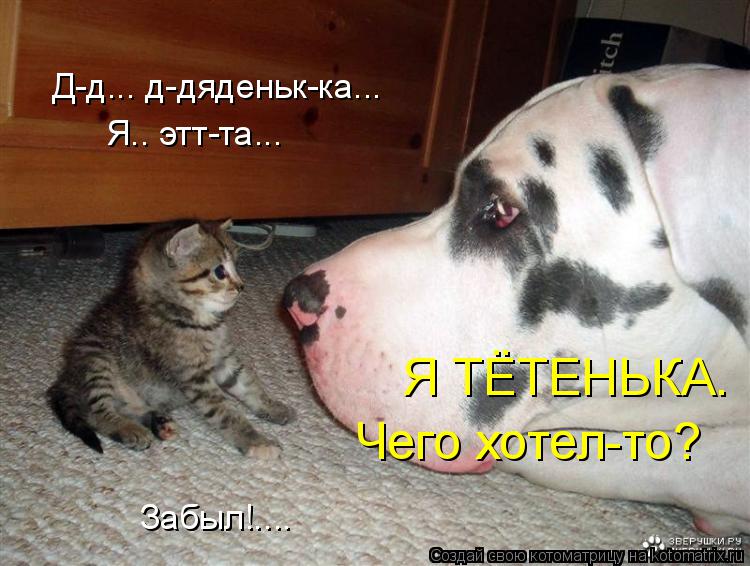 Д-д... д-дяденьк-ка... Я ТЁТЕНЬКА. Чего хотел-то? Я.. этт-та... Забыл!....... Котоматрица: Д-д... д-дяденьк-ка... Я ТЁТЕНЬКА. Чего хотел-то? Я.. этт-та... Забыл!....