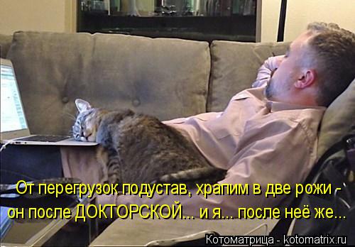 От перегрузок подустав, храпим в две рожи - он после ДОКТОРСКОЙ... и я... после неё же...... Котоматрица: От перегрузок подустав, храпим в две рожи - он после ДОКТОРСКОЙ... и я... после неё же...