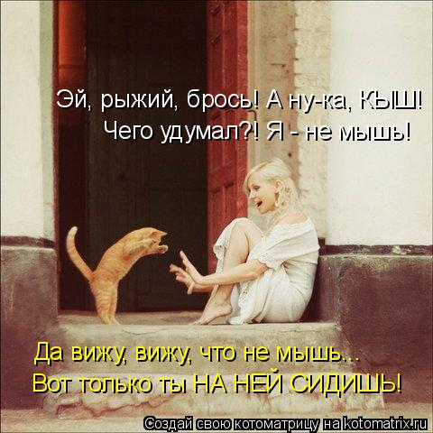 Эй, рыжий, брось! А ну-ка, КЫШ! Вот только ты НА НЕЙ СИДИШЬ! Чего удумал?! Я - не мышь! Да вижу, вижу... Котоматрица: Эй, рыжий, брось! А ну-ка, КЫШ! Вот только ты НА НЕЙ СИДИШЬ! Чего удумал?! Я - не мышь! Да вижу, вижу, что не мышь...