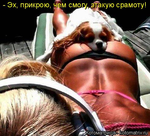 - Эх, прикрою, чем смогу, этакую срамоту!... Котоматрица: - Эх, прикрою, чем смогу, этакую срамоту!