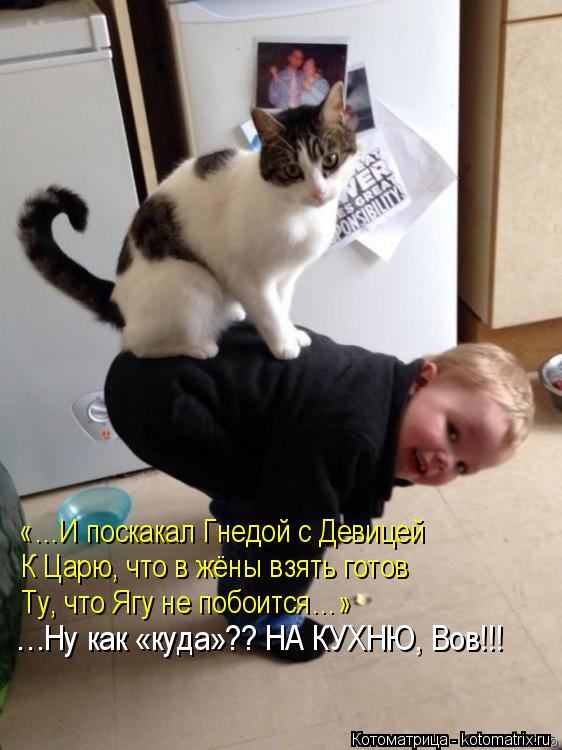 «…И поскакал Гнедой с Девицей К Царю, что в жёны взять готов Ту, что Ягу не побоится…» …Ну как «куда»... Котоматрица: «…И поскакал Гнедой с Девицей К Царю, что в жёны взять готов Ту, что Ягу не побоится…» …Ну как «куда»?? НА КУХНЮ, Вов!!!