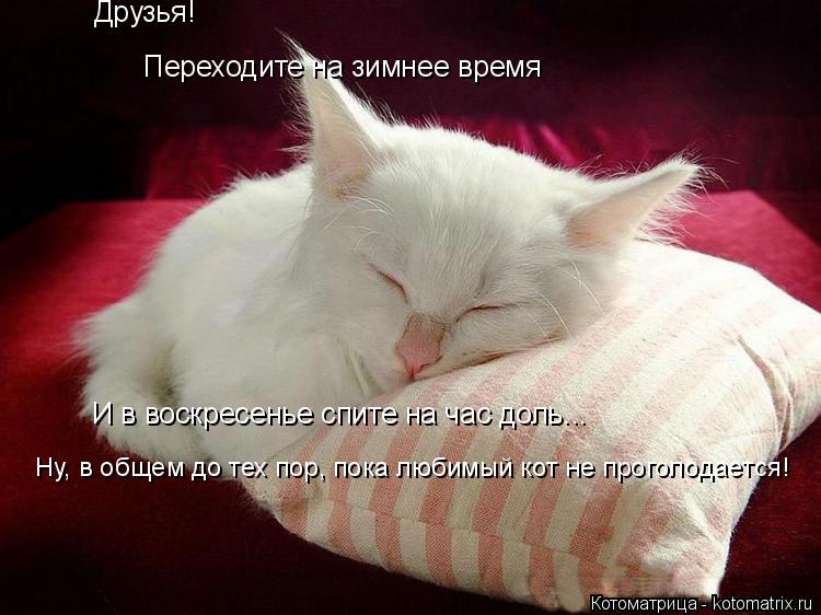 Друзья! Переходите на зимнее время И в воскресенье спите на час доль... Ну, в общем до тех пор, пока ... Котоматрица: Друзья! Переходите на зимнее время И в воскресенье спите на час доль... Ну, в общем до тех пор, пока любимый кот не проголодается!