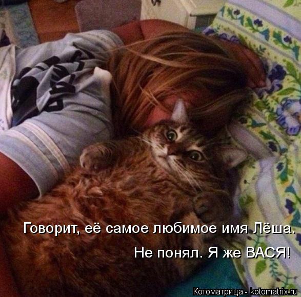Котоматрица: Говорит, её самое любимое имя Лёша.  Не понял. Я же ВАСЯ!