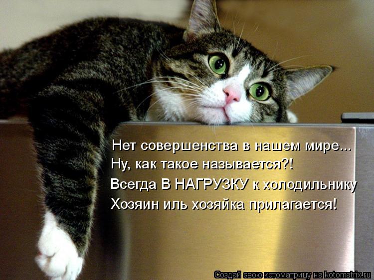 Нет совершенства в нашем мире... Ну, как такое называется?! Всегда В НАГРУЗКУ к холодильнику Хозяин и... Котоматрица: Нет совершенства в нашем мире... Ну, как такое называется?! Всегда В НАГРУЗКУ к холодильнику Хозяин иль хозяйка прилагается!