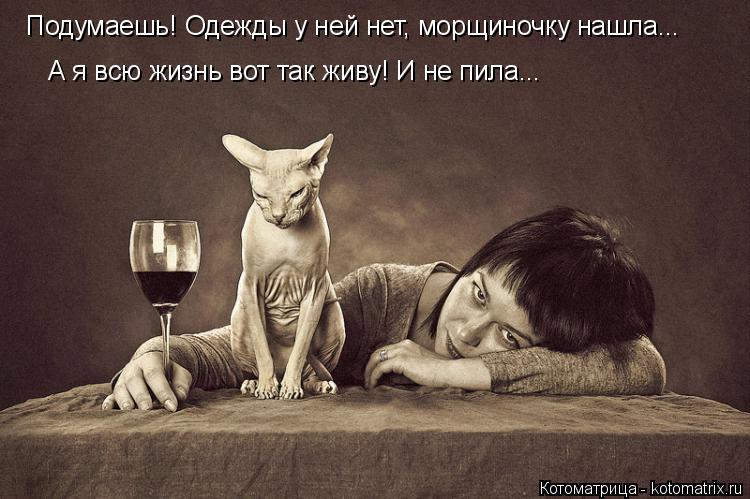Подумаешь! Одежды у ней нет, морщиночку нашла... А я всю жизнь вот так живу! И не пила...... Котоматрица: Подумаешь! Одежды у ней нет, морщиночку нашла... А я всю жизнь вот так живу! И не пила...
