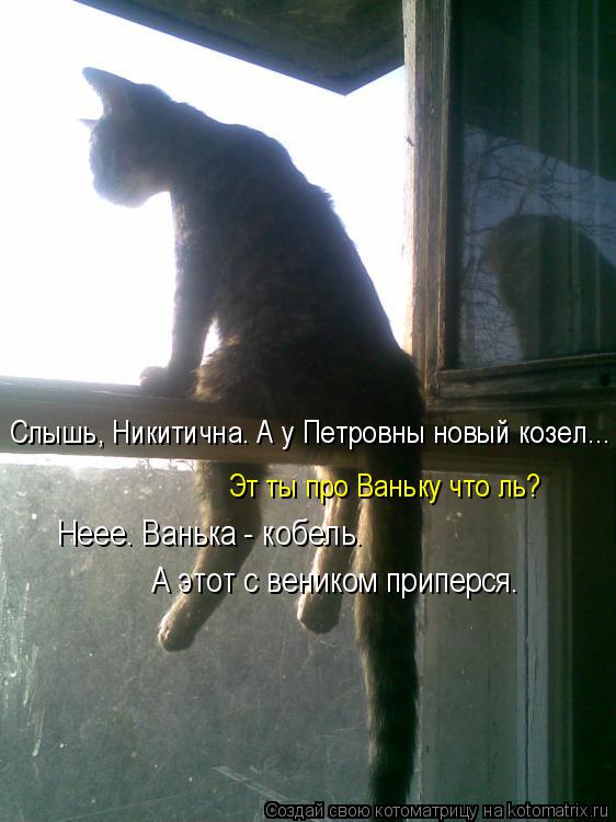 Котоматрица: Слышь, Никитична. А у Петровны новый козел... Эт ты про Ваньку что ль? Неее. Ванька - кобель. А этот с веником приперся.