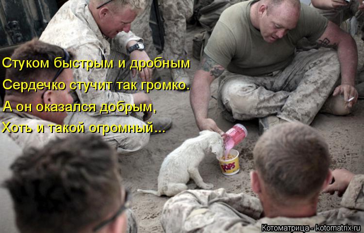 Сердечко стучит так громко. А он оказался добрым, Хоть и такой огромный... Стуком быстрым и дробным... Котоматрица: Сердечко стучит так громко. А он оказался добрым, Хоть и такой огромный... Стуком быстрым и дробным