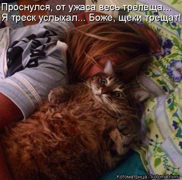 Котоматрица: Проснулся, от ужаса весь трепеща... Я треск услыхал... Боже, щеки трещат!