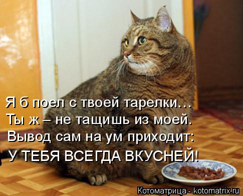 Котоматрица: Я б поел с твоей тарелки… Ты ж – не тащишь из моей. Вывод сам на ум приходит: У ТЕБЯ ВСЕГДА ВКУСНЕЙ!