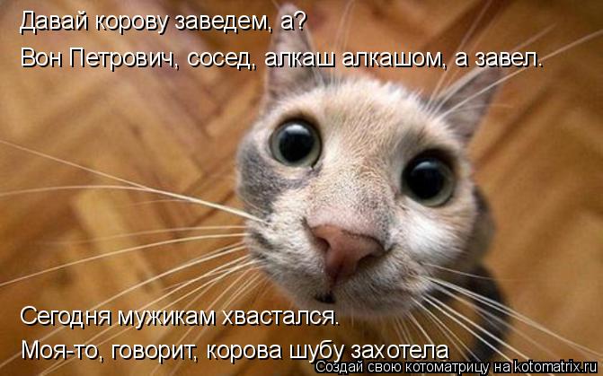 Котоматрица: Давай корову заведем, а? Вон Петрович, сосед, алкаш алкашом, а завел. Сегодня мужикам хвастался.  Моя-то, говорит, корова шубу захотела