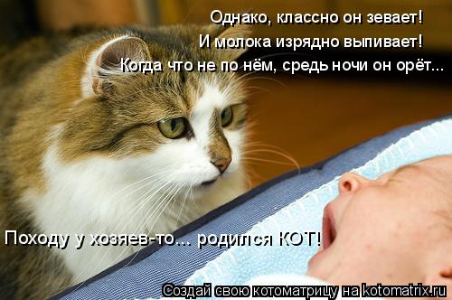 Однако, классно он зевает! Походу у хозяев-то... родился КОТ! И молока изрядно выпивает! Когда что не... Котоматрица: Однако, классно он зевает! Походу у хозяев-то... родился КОТ! И молока изрядно выпивает! Когда что не по нём, средь ночи он орёт...