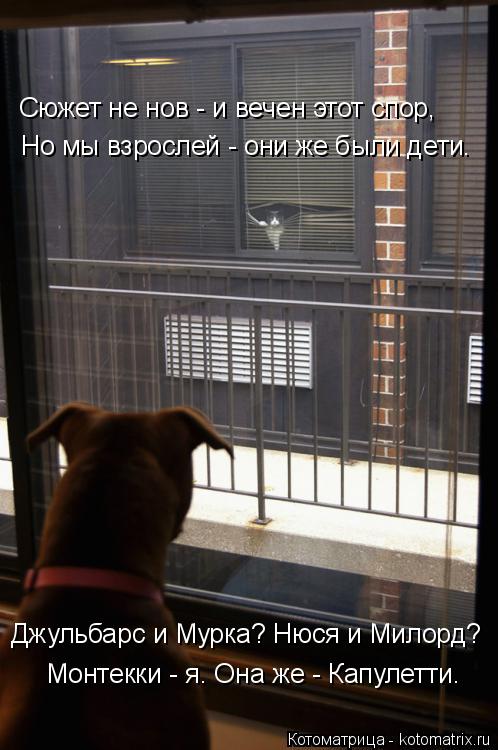 Сюжет не нов - и вечен этот спор, Но мы взрослей - они же были дети. Джульбарс и Мурка? Нюся и Милорд... Котоматрица: Сюжет не нов - и вечен этот спор, Но мы взрослей - они же были дети. Джульбарс и Мурка? Нюся и Милорд? Монтекки - я. Она же - Капулетти.