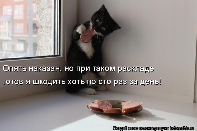 Котоматрица: готов я шкодить хоть по сто раз за день! Опять наказан, но при таком раскладе