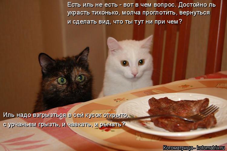 Котоматрица: Есть иль не есть - вот в чем вопрос. Достойно ль украсть тихонько, молча проглотить, вернуться  и сделать вид, что ты тут ни при чем? Иль надо в