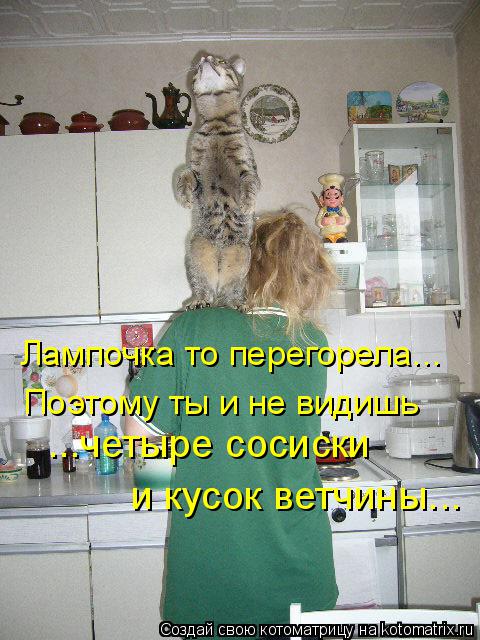 Котоматрица: Лампочка то перегорела... Поэтому ты и не видишь ...четыре сосиски   и кусок ветчины...