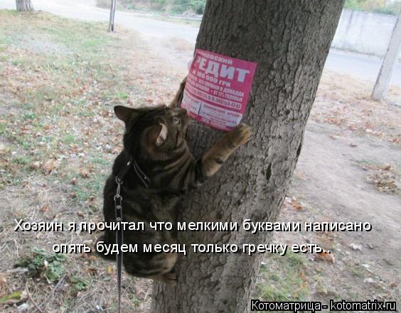 Хозяин я прочитал что мелкими буквами написано опять будем месяц только гречку есть..... Котоматрица: Хозяин я прочитал что мелкими буквами написано опять будем месяц только гречку есть..