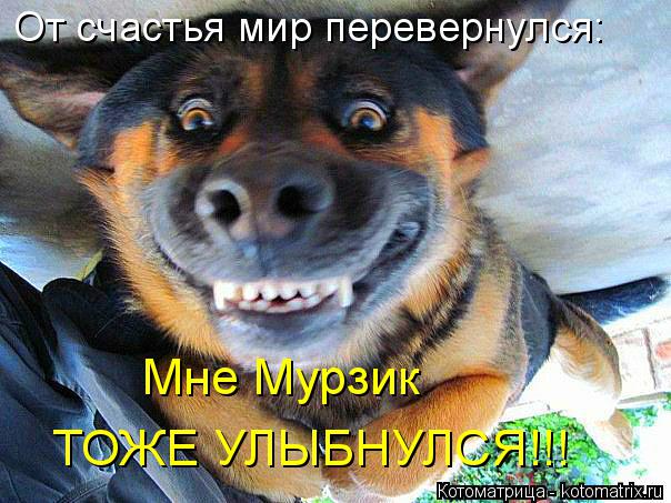 От счастья мир перевернулся: Мне Мурзик ТОЖЕ УЛЫБНУЛСЯ!!!... Котоматрица: От счастья мир перевернулся: Мне Мурзик ТОЖЕ УЛЫБНУЛСЯ!!!
