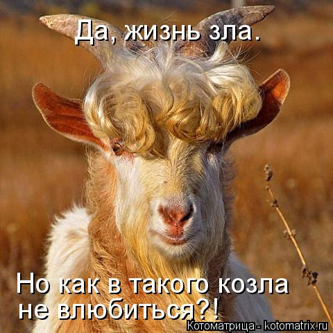 Котоматрица: Да, жизнь зла. Но как в такого козла не влюбиться?!