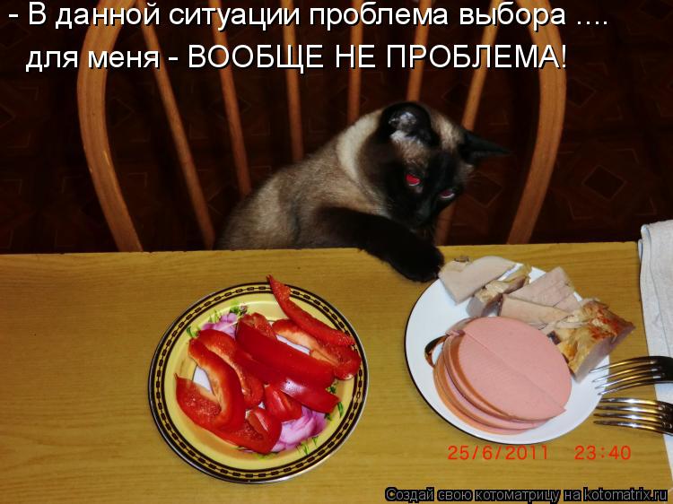 - В данной ситуации проблема выбора .... для меня - ВООБЩЕ НЕ ПРОБЛЕМА!... Котоматрица: - В данной ситуации проблема выбора .... для меня - ВООБЩЕ НЕ ПРОБЛЕМА!