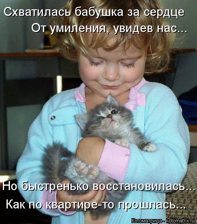 Схватилась бабушка за сердце От умиления, увидев нас... Но быстренько восстановилась... Как по кварти... Котоматрица: Схватилась бабушка за сердце От умиления, увидев нас... Но быстренько восстановилась... Как по квартире-то прошлась...