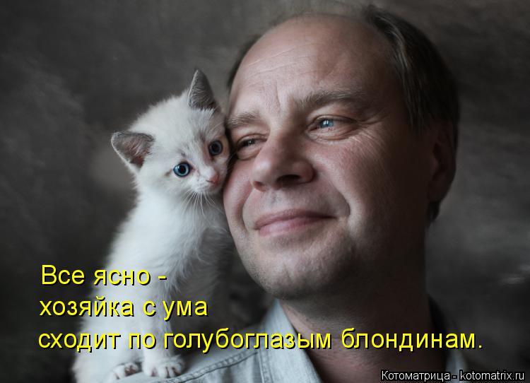 Котоматрица: сходит по голубоглазым блондинам. хозяйка с ума  Все ясно -