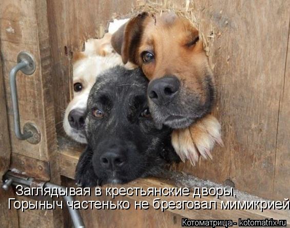 :    ,     