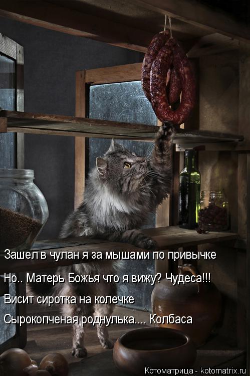 Котоматрица: Сырокопченая роднулька.... Колбаса Зашел в чулан я за мышами по привычке Но.. Матерь Божья что я вижу? Чудеса!!! Висит сиротка на колечке