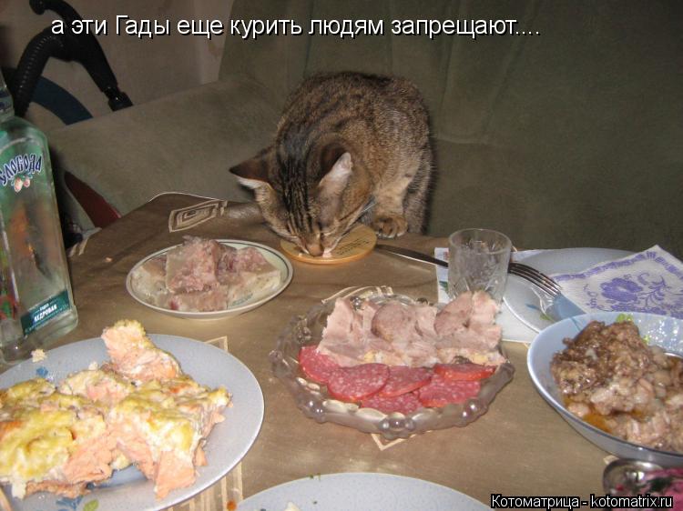 а эти Гады еще курить людям запрещают....... Котоматрица: а эти Гады еще курить людям запрещают....