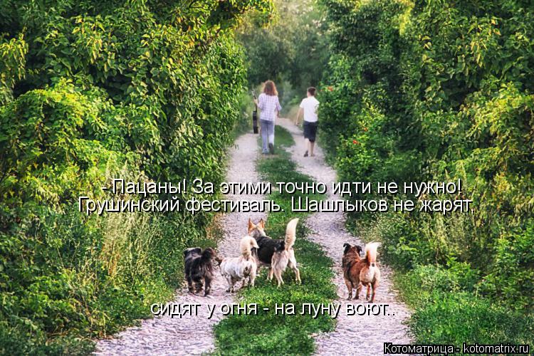 - Пацаны! За этими точно идти не нужно! Грушинский фестиваль. Шашлыков не жарят, сидят у огня - на лу... Котоматрица: - Пацаны! За этими точно идти не нужно! Грушинский фестиваль. Шашлыков не жарят, сидят у огня - на луну воют..