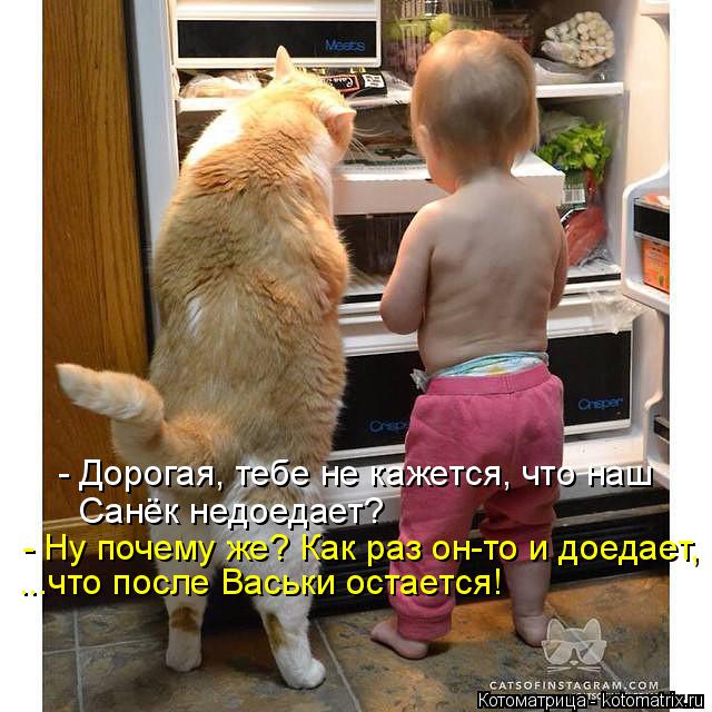 - Дорогая, тебе не кажется, что наш Санёк недоедает? - Ну почему же? Как раз он-то и доедает, ...что ... Котоматрица: - Дорогая, тебе не кажется, что наш Санёк недоедает? - Ну почему же? Как раз он-то и доедает, ...что после Васьки остается!