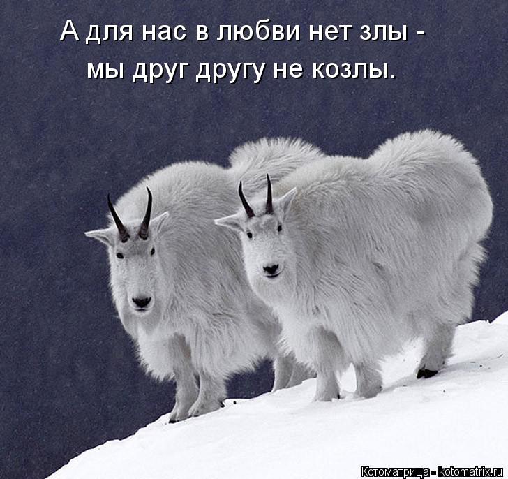 А для нас в любви нет злы - мы друг другу не козлы.... Котоматрица: А для нас в любви нет злы - мы друг другу не козлы.