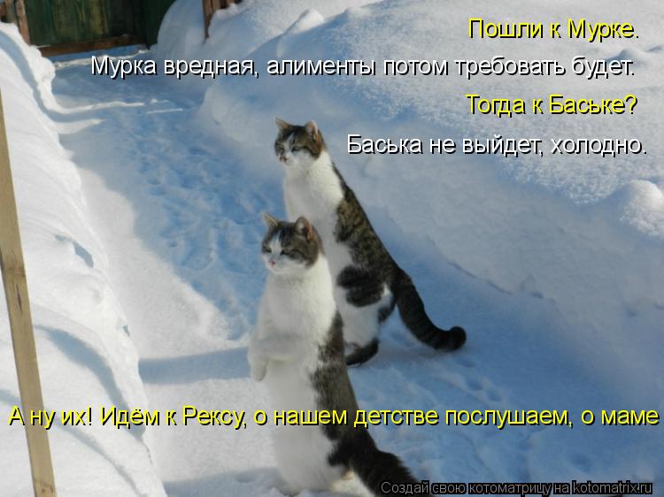 Пошли к Мурке. Мурка вредная, алименты потом требовать будет. Тогда к Баське? Баська не выйдет, холод... Котоматрица: Пошли к Мурке. Мурка вредная, алименты потом требовать будет. Тогда к Баське? Баська не выйдет, холодно. А ну их! Идём к Рексу, о нашем детстве