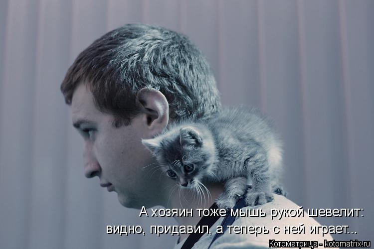 А хозяин тоже мышь рукой шевелит: видно, придавил, а теперь с ней играет...... Котоматрица: А хозяин тоже мышь рукой шевелит: видно, придавил, а теперь с ней играет...