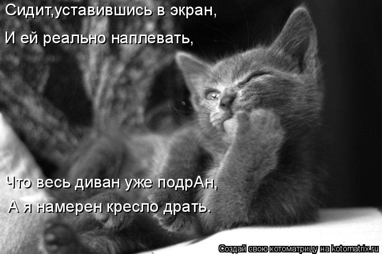 Сидит,уставившись в экран, И ей реально наплевать, Что весь диван уже подрАн, А я намерен кресло драт... Котоматрица: Сидит,уставившись в экран, И ей реально наплевать, Что весь диван уже подрАн, А я намерен кресло драть.