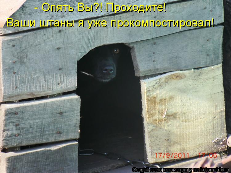 - Опять Вы?! Проходите! Ваши штаны я уже прокомпостировал!... Котоматрица: - Опять Вы?! Проходите! Ваши штаны я уже прокомпостировал!
