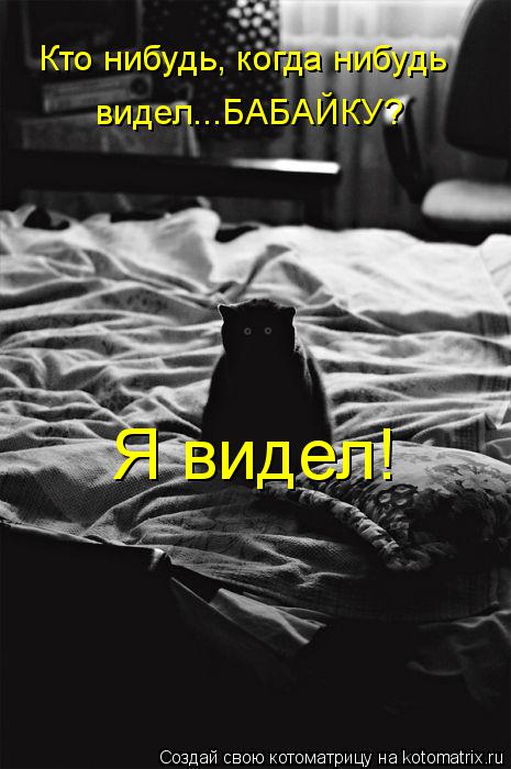 Котоматрица: Кто нибудь, когда нибудь видел...БАБАЙКУ? видел...БАБАЙКУ? Я видел!