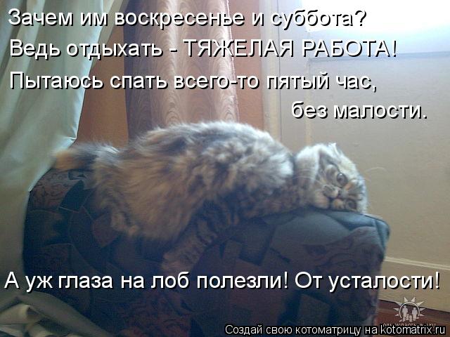 А уж глаза на лоб полезли! От усталости! Зачем им воскресенье и суббота? Ведь отдыхать - ТЯЖЕЛАЯ РАБ... Котоматрица: А уж глаза на лоб полезли! От усталости! Зачем им воскресенье и суббота? Ведь отдыхать - ТЯЖЕЛАЯ РАБОТА! Пытаюсь спать всего-то пятый час, бе