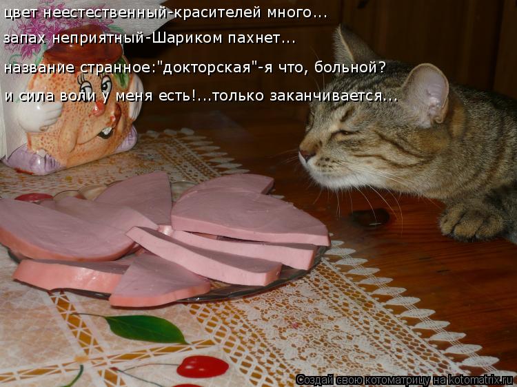 цвет неестественный-красителей много... запах неприятный-Шариком пахнет... название странное:"докторс... Котоматрица: цвет неестественный-красителей много... запах неприятный-Шариком пахнет... название странное:"докторская"-я что, больной? и сила воли у меня е