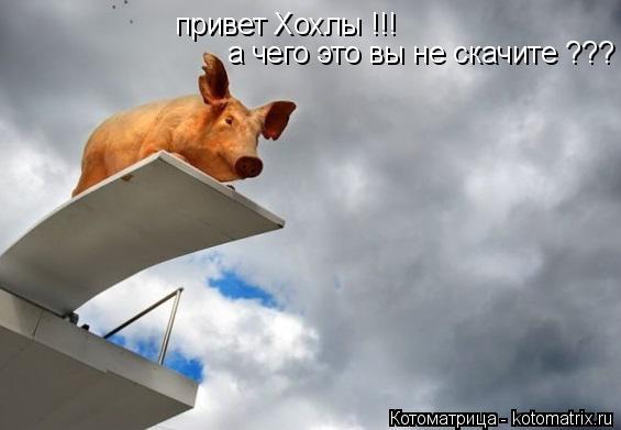 привет Хохлы !!! а чего это вы не скачите ???... Котоматрица: привет Хохлы !!! а чего это вы не скачите ???
